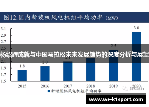 杨绍辉成就与中国马拉松未来发展趋势的深度分析与展望